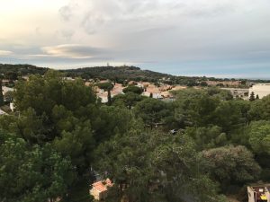 IMG_0564